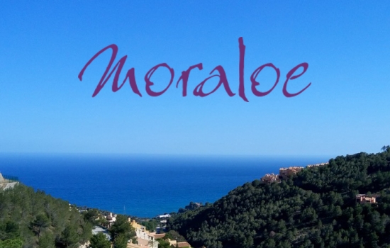 Moraloe Launches New Website!