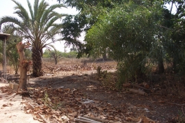 Long Term Rentals -  - La marina - La Marina