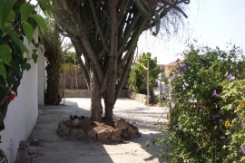 Long Term Rentals -  - La marina - La Marina