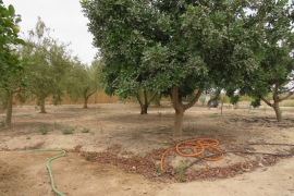 Sale - Country house - Elche - Daimes