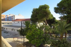 Sale - Studio - Elche - La Marina