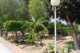 Reventa - Adosado - Guardamar - Buenavista