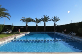 Sale - Quad - La marina - El Pinet